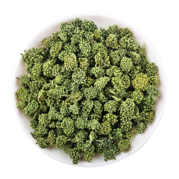 Panax Notoginseng