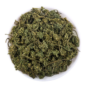 Panax Ginseng flower
