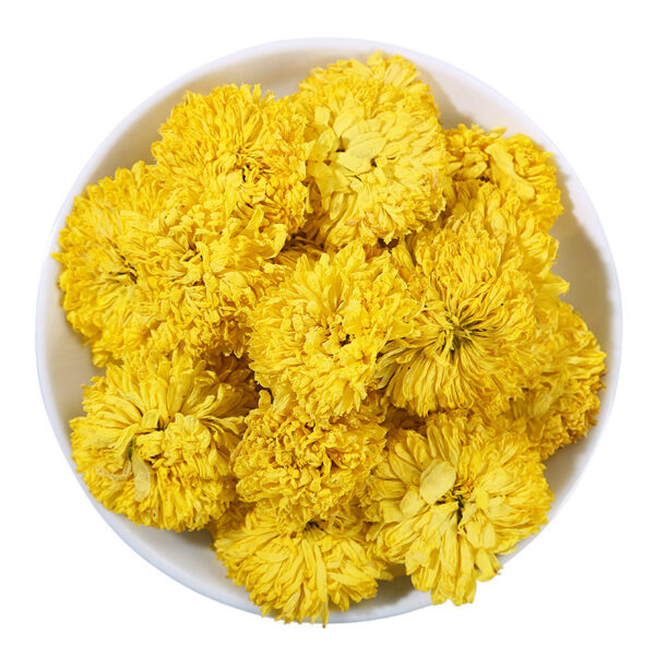 Chrysanthemum