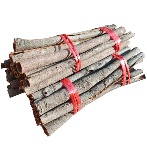 Cassia Tube