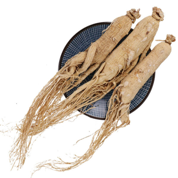 Ginseng