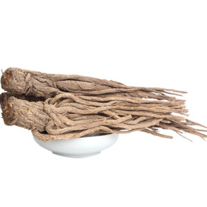 Angelica Sinensis