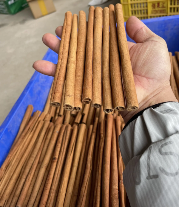 Cassia Sticks