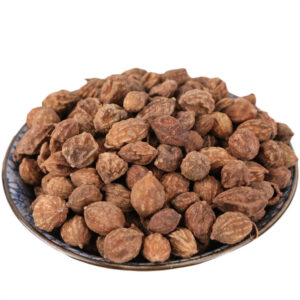 Arborvitae Seed