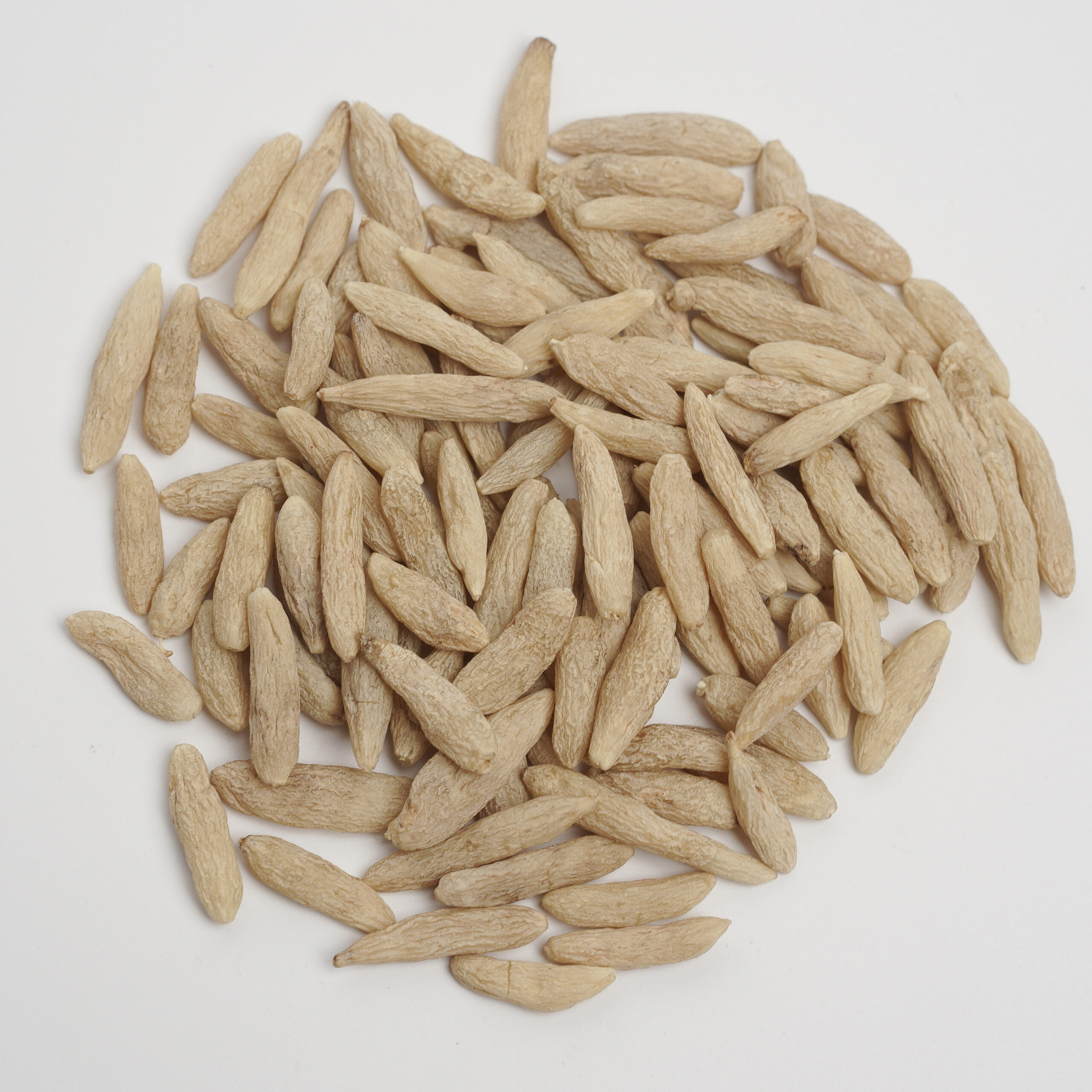 Ophiopogon Root