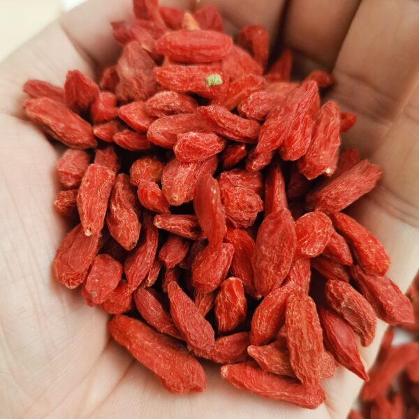 Red wolfberry - Image 4