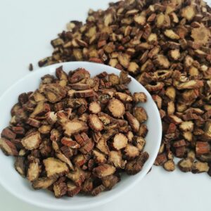 Salvia miltiorrhiza