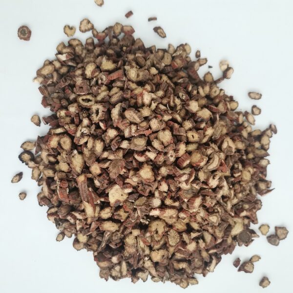 Salvia miltiorrhiza - Image 3