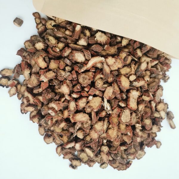 Salvia miltiorrhiza - Image 2