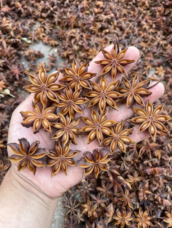 Red Star Anise - Image 2