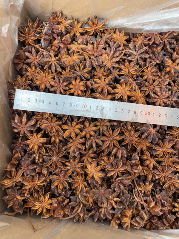 Red Star Anise - Image 3