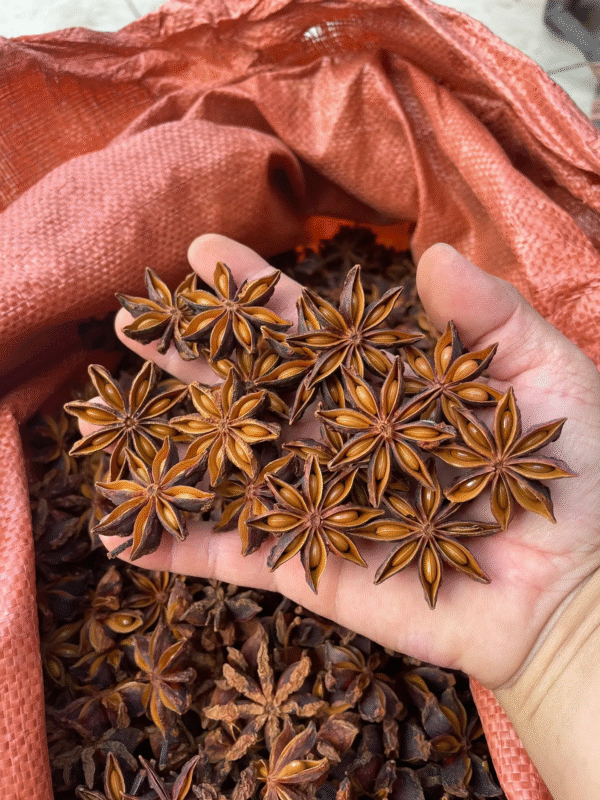 Red Star Anise - Image 4