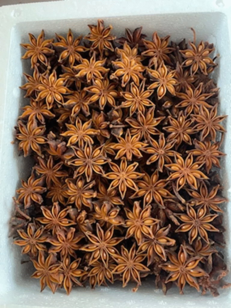 Star Anise – An Oriental Spice Now Shaping Global Taste