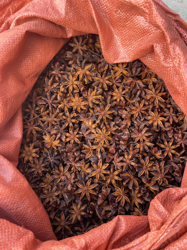 Red Star Anise - Image 5